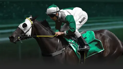 《热刺与利物浦争锋，瑞天空独家揭秘：扬-迪奥曼德加盟传闻背后深度接触》